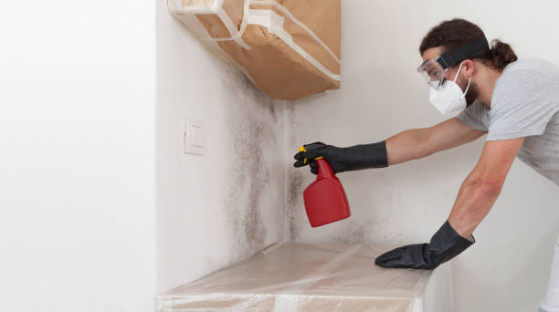 Professional Crawl Space Mold Removal technician working in Bokeelia, FL